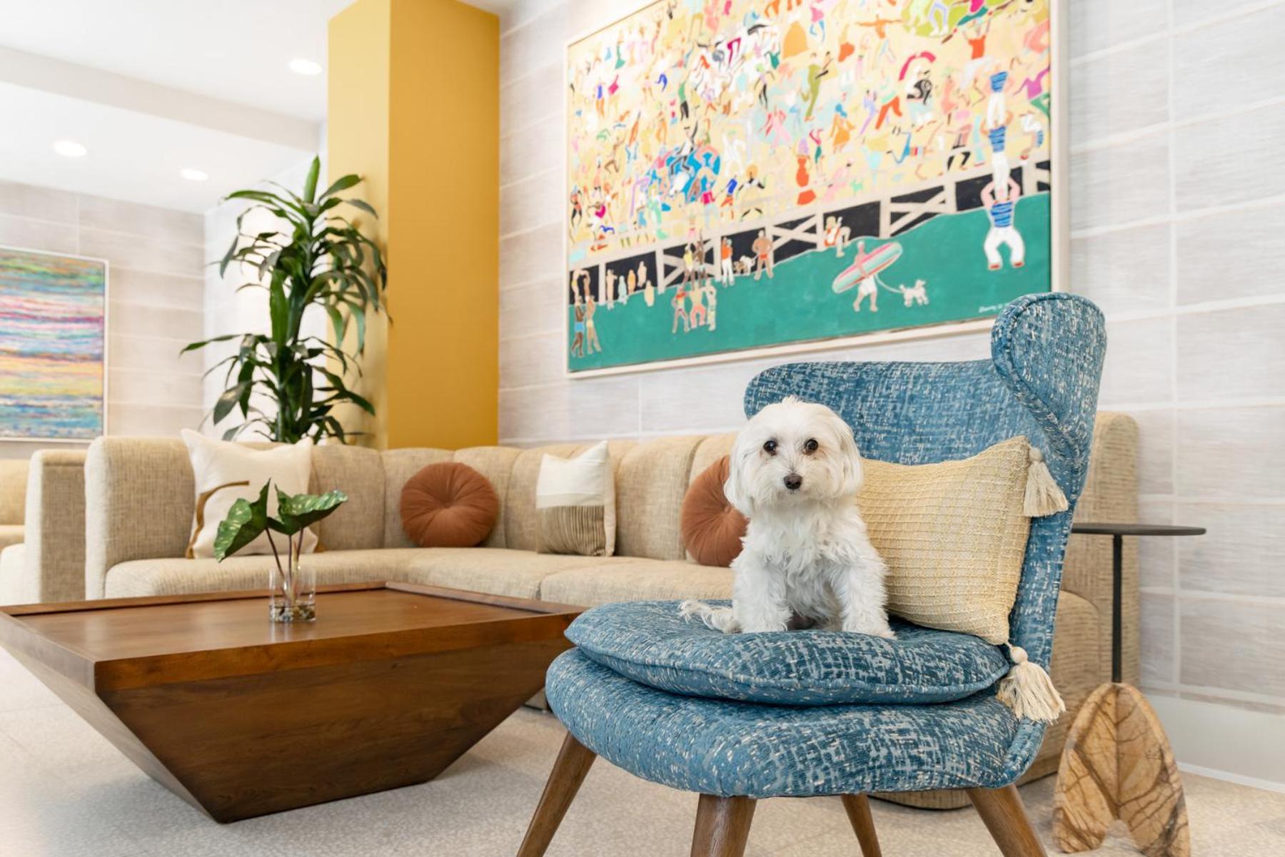 Hotel Continental Miami Beach, Tapestry Collection By Hilton Eksteriør billede